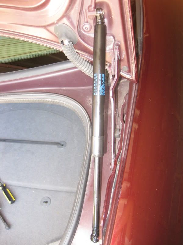 Trunk Strut Replacement